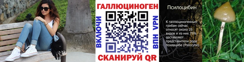OMG зеркало  даркнет Telegram  Галлюциногенные грибы Psilocybine cubensis  Гдов 